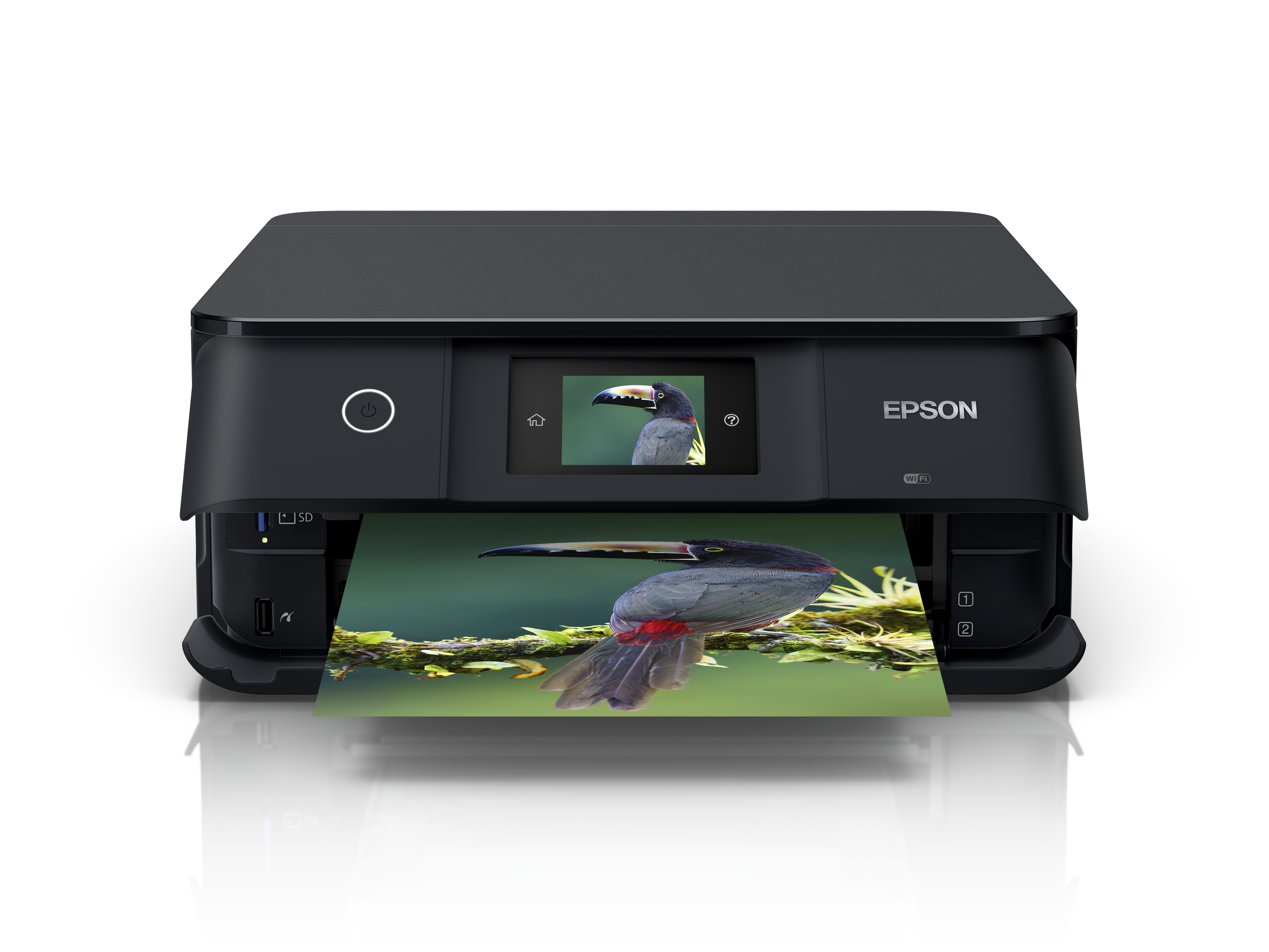 Epson photo print. Монитор принтер. Принтер с экраном. Дисплеи, мониторы и принтеры. Принтер иллюстрация.