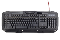 Gembird KB-UMGL-01 keyboard USB US English Black