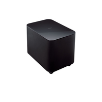 Sony SWF-BR100
